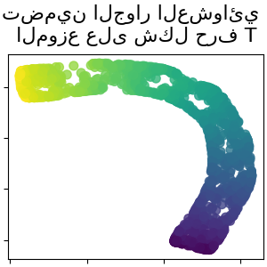 تضمين الجوار العشوائي الموزع على شكل حرف T