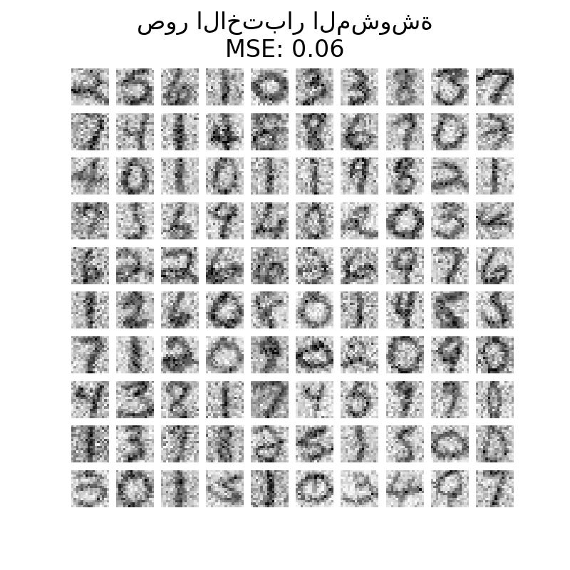 صور الاختبار المشوشة MSE: 0.06