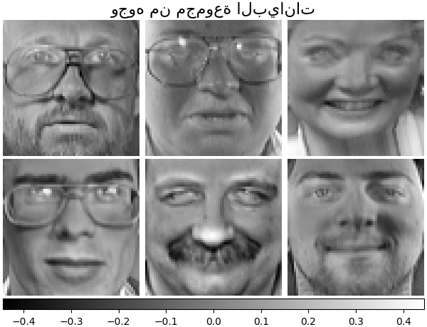 وجوه من مجموعة البيانات