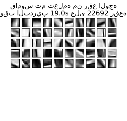 قاموس تم تعلمه من رقع الوجه وقت التدريب 19.0s على 22692 رقعة