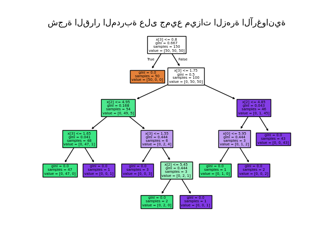 شجرة القرار المدربة على جميع ميزات الزهرة الآرغوانية